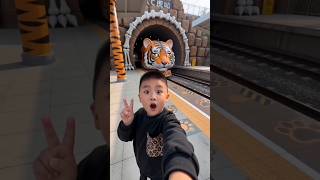 Tiger Train Appeared🤯 Behind Me Inside Was SHOCKING 🐯🚂#shortsvideo #trending #viral