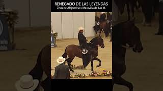 TROCHA COLOMBIANA_RENEGADO_ AGROEXPO 2009 #trocha #horse #shortsvideo