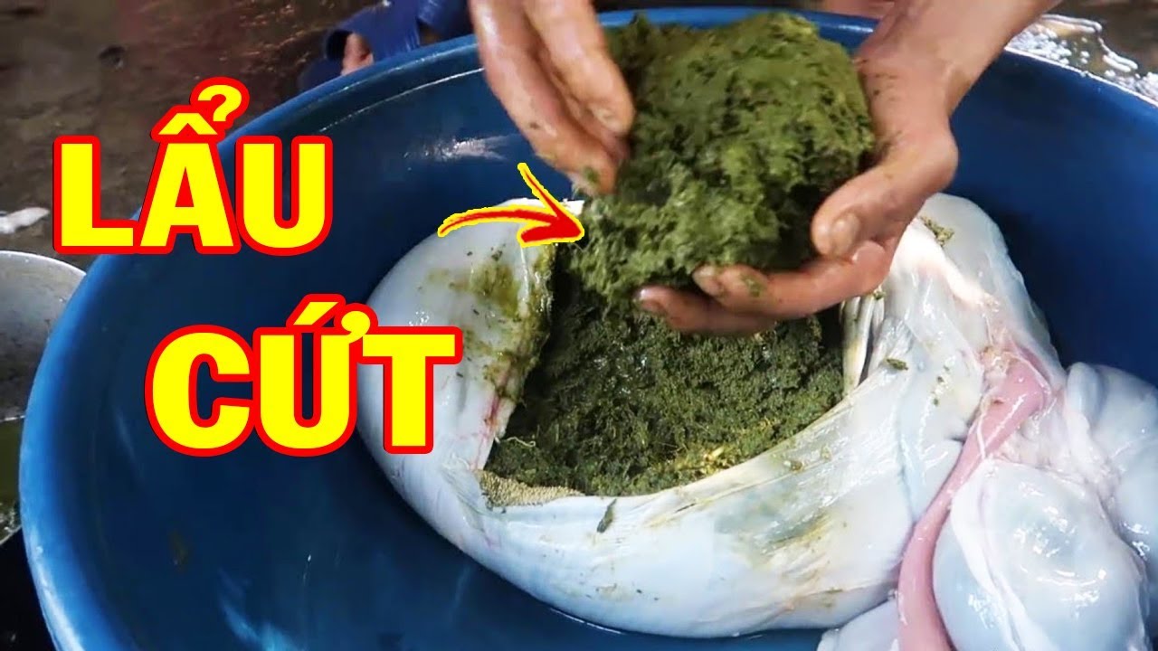 Bao Anh Tiết Lộ Một Mon ăn Kinh Hoang Co Thể Chinh La Thủ Phạm Gay Bung Phat Dịch Viem Phổi Lạ
