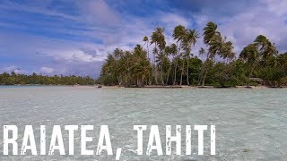 Raiatea, Tahiti Drift Snorkeling In French Polynesia - We Found An Octopus