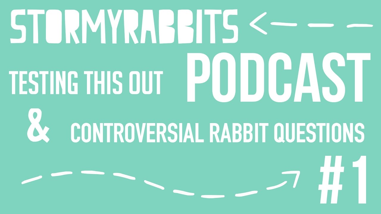 Controversial Rabbit Questions - StormyRabbits Podcast #1
