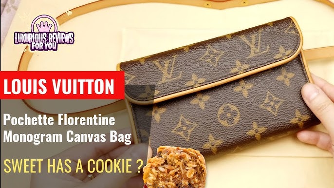 Louis Vuitton Monogram Pochette Florentine Waist Bag – Shake Your