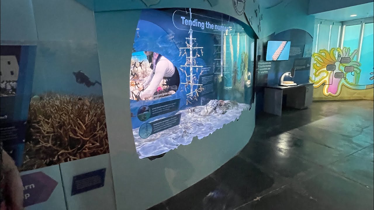 Florida Keys Eco Discovery Center Key West YouTube