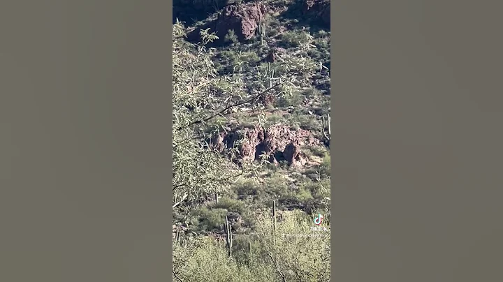 I discovered an Aztec sculpture in Arizona here it...