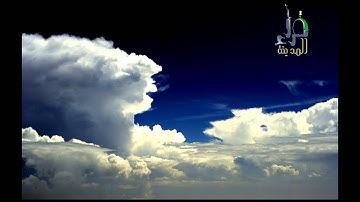 قراء المدينة ( تلاوة للقارء - صهيب بكر