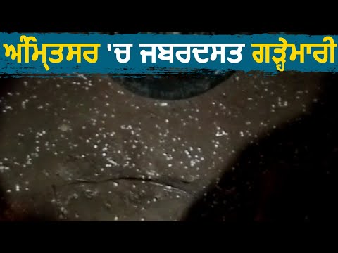 Amritsar में भारी बारिश के साथ पड़े ओले, मौसम ने ली करवट