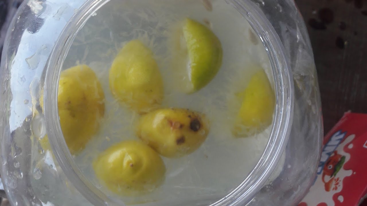 desi style lemon juice recipe