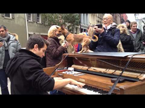 Video: Piano Across America: Otázky A Odpovede S Cestujúcim Klaviristom Dotanom Negrinom - Sieťou Matador