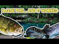 Trout Fishing Trip with My Brother! (Part 1) | Catching Fish on My Own Lures!