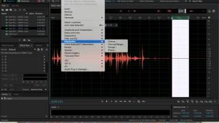 IMP 2 - Project 1