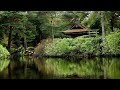 BOLS TIBÉTAINS de GUÉRISON, Oiseaux et Pluie • Apaise l'Esprit • Bien-Être, Détente et Sommeil • 10H