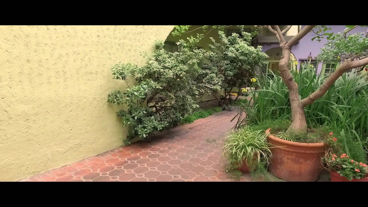 Dji osmo on a rig with a magic arm