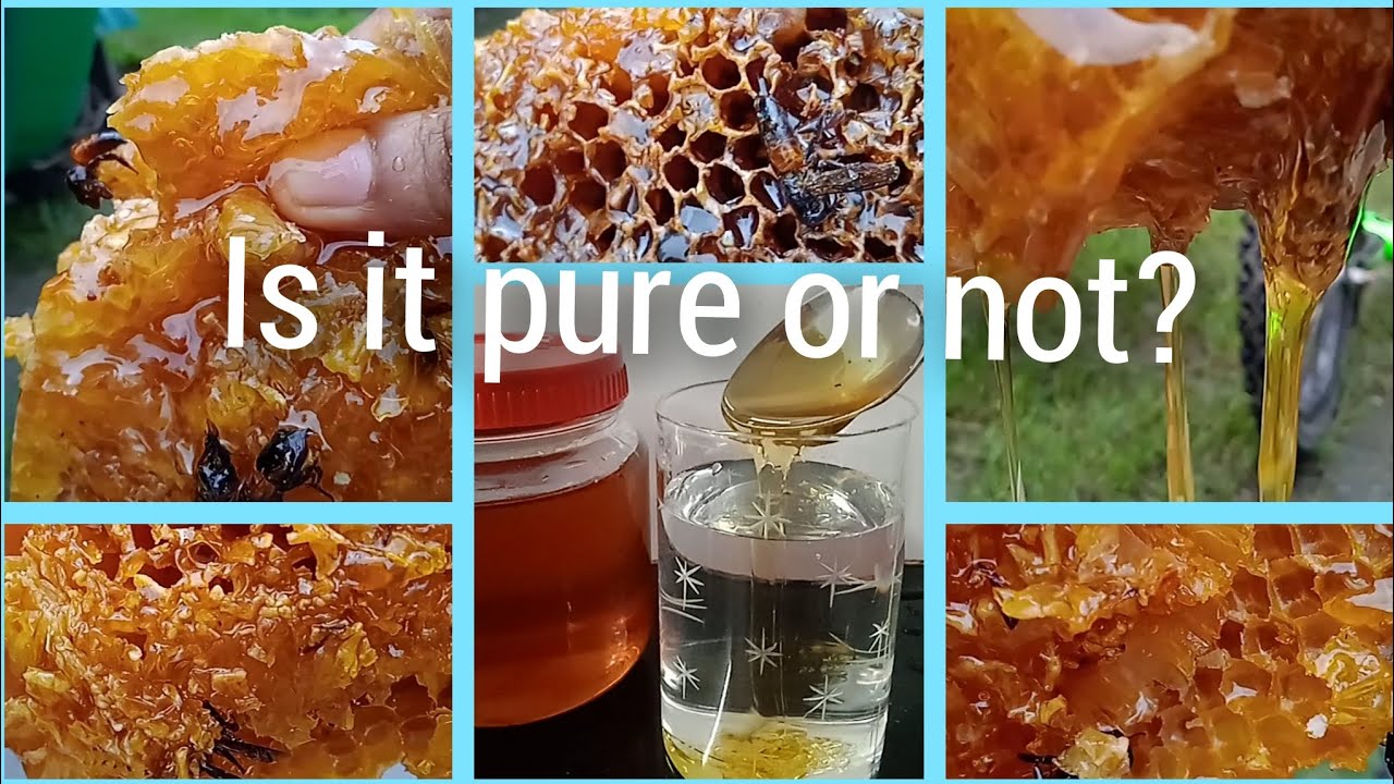 Do you want to see the 🍯honey which we bought? honey quality pure 