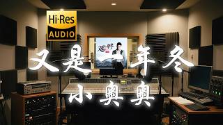 小奥奥《又是一年冬》歌词纯享版 - “又是一年冬 那大雪埋了松  来时的路 已分不清西东”
