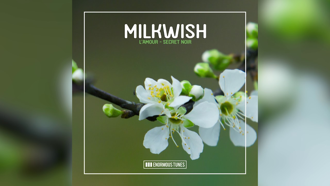 Obejrzyj Milkwish - L'amour w YouTube Obejrzyj Milkwish - L'amour w YouTube