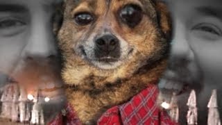 Avengers Endgame Made Me Cry - Meme Couch