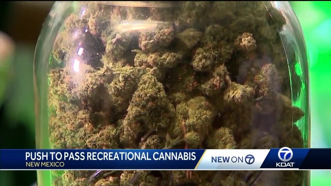 Legal recreational cannabis update 1
