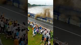 The One Decision That Saved His Day🫢