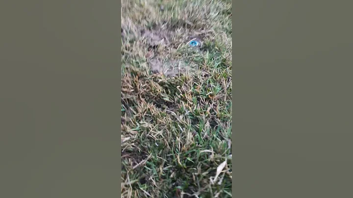 THIS is WHY I'm right about Sprinklers! PROOF! DOUBLE elbow swing joint!! #shorts #diy #water