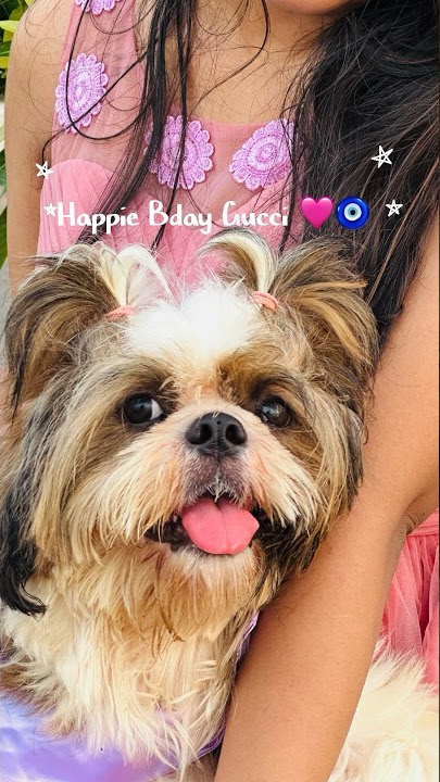 🎂🎉🎁 LETS PLAY: 🤔 How 👵🏾 old Gucci turned today?!? ⚠️Hint: i have a 1  yr 👶🏽 grandson!