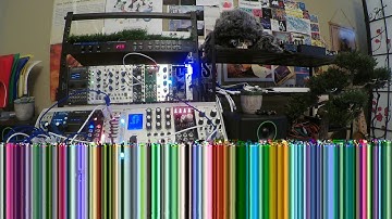 Black Guillemot (Rings, DLD, Clouds, o_C, Varigate 4+)