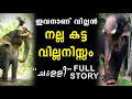 Villain of Elephants വില്ലൻ ചുള്ളിപറമ്പിൽ വിഷ്ണുശങ്കർ Story | Chulliparambil Vishnu Shankar