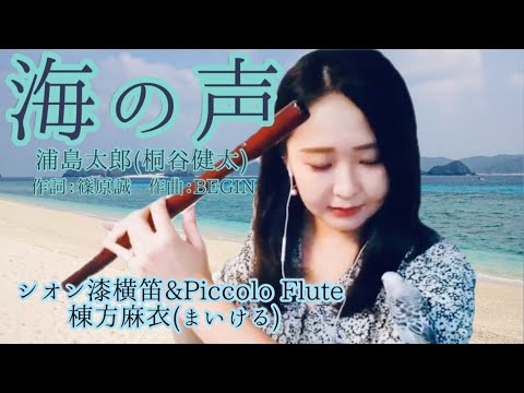 【海の声】浦島太郎(桐谷健太)BEGIN【ピッコロ シオン横笛】フルート奏者が吹いてみた【歌詞付き】