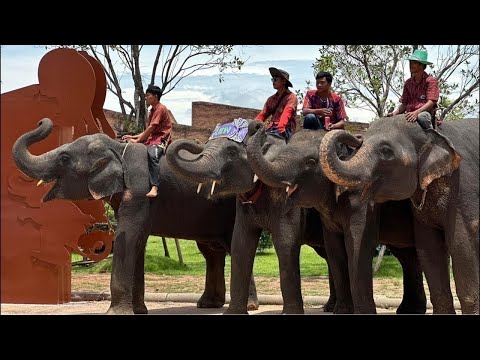 อ้ิอยสดอาหารหวานมาแล้วจ้า หัวหน้าเด็กน้อย