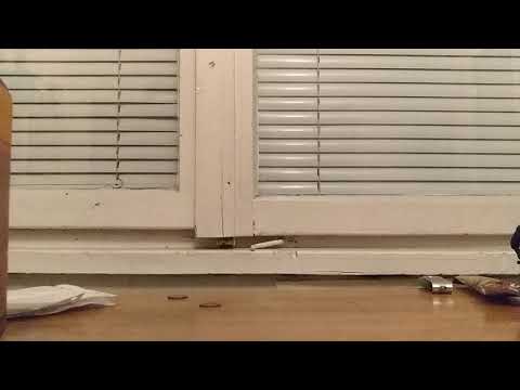 Sony srs xb10