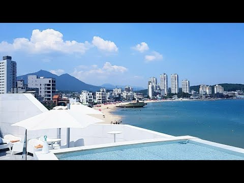 투썸플레이스 부산정관점