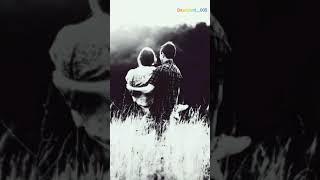 Hozan Beşir-Elfida Sözleri