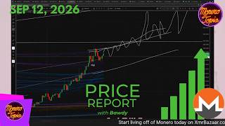 Price Report 09/12/26 (PRICE EPI 278)