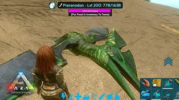How to Tame a High Level Pteranodon! - ARK Mobile
