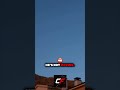 Is this bird actually glitching in real life?! 🦅💀