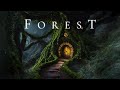 Forest  calm fantasy soundscape ambience for relaxation  sleep  ethereal meditative ambient music