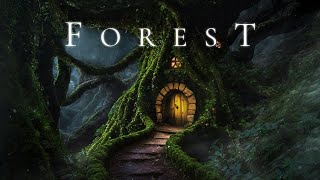 FOREST | Calm Fantasy Soundscape Ambience for Relaxation & Sleep  Ethereal Meditative Ambient Music