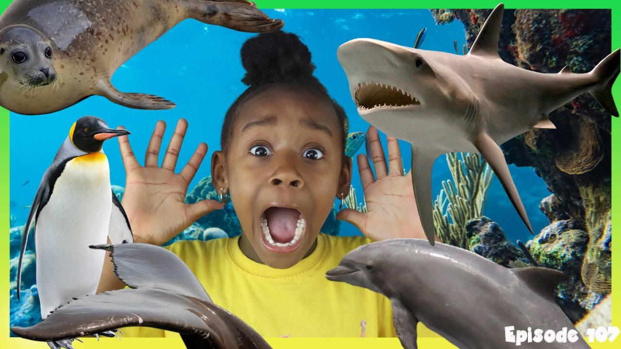 Big 5 Marine Animals