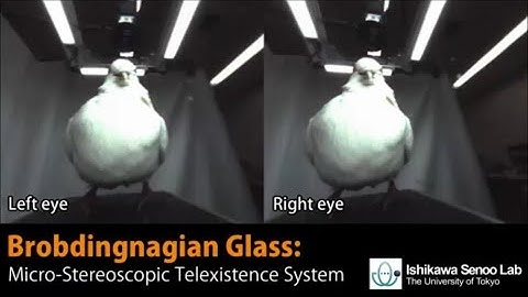 Brobdingnagian Glass: A Micro-Stereoscopic Telexistence System