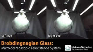 Brobdingnagian Gl A Micro-Stereoscopic Telexistence System