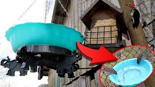 85W Heated Bird Bath - Unboxing & Review by Paw Record 142 views 2 months ago 3 minutes, 31 seconds