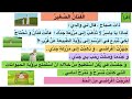 فيديو خطوات شرح درس الفنان الصغير مخطط القصة 2