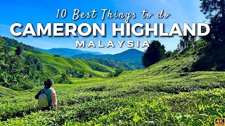 10 Best Things to do in Cameron Highlands Malaysia