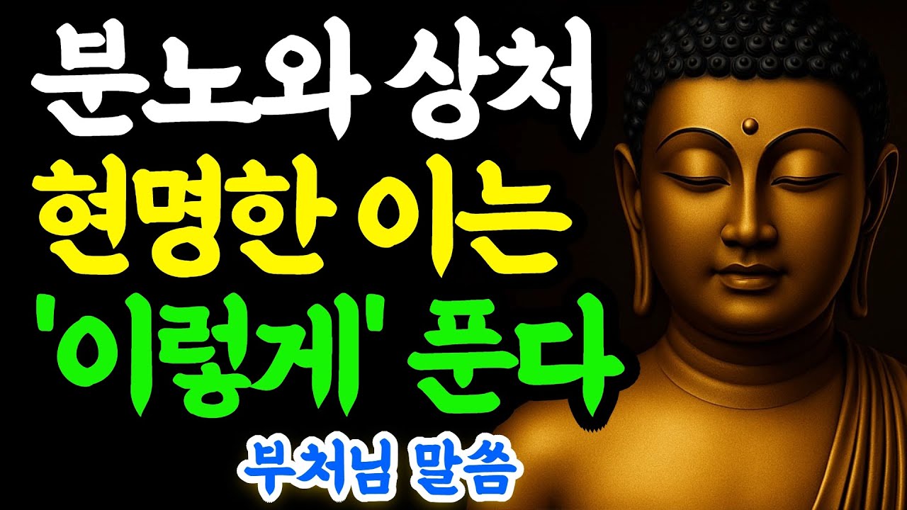 화가 날 때 쌓인 상처와 분노, 현명한 사람은 이렇게 다스립니다｜부처님말씀｜불교명언｜불교지혜｜마음공부｜인생조언