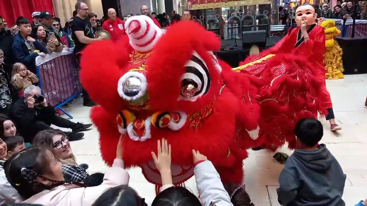 CHINESE LUNAR NEW YEAR 2026 LEICESTER  PART 1