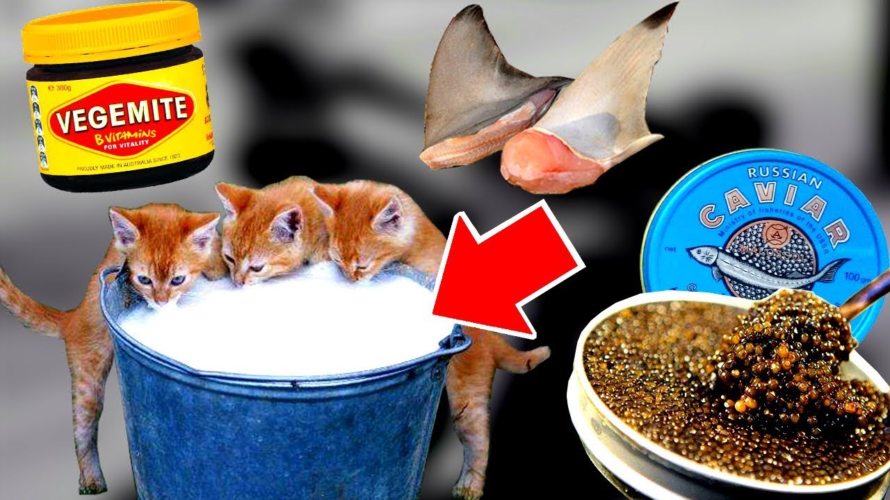 ⁣13 категорически запрещенных продуктов питания в США, но разрешенных во всем мире