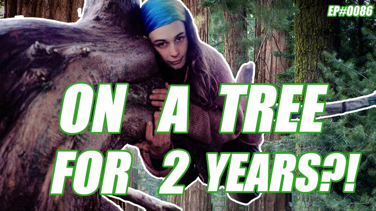 THE WOMAN IN THE TREE, APPALACHEE INCIDENT & PROM NIGHTMARE EP #0086 ...