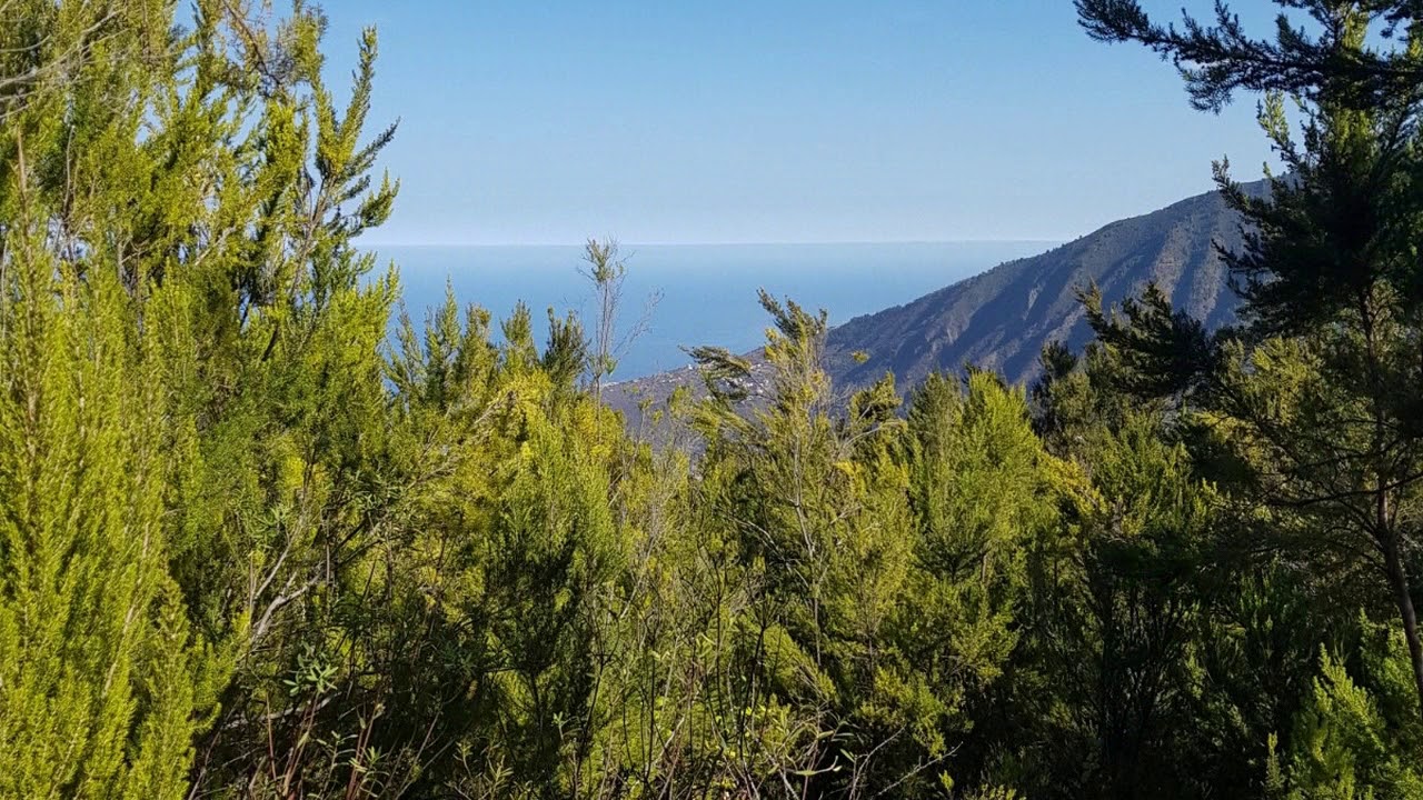 0067-00706 BAJADA DE PRECIO!! AHORA SE VENDE POR 44.000€ Terreno rústico de 21572m2 en Aguamansa!