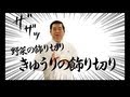 きゅうりの飾り切り【ヤマサ醤油】