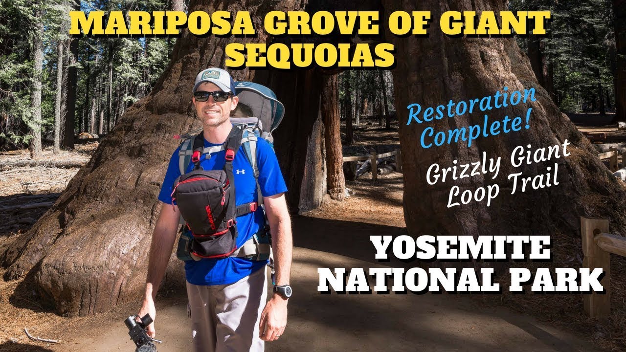 grizzly giant loop trail