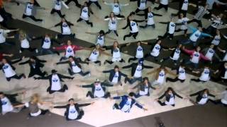 Flashmob Moves Like Jagger HD